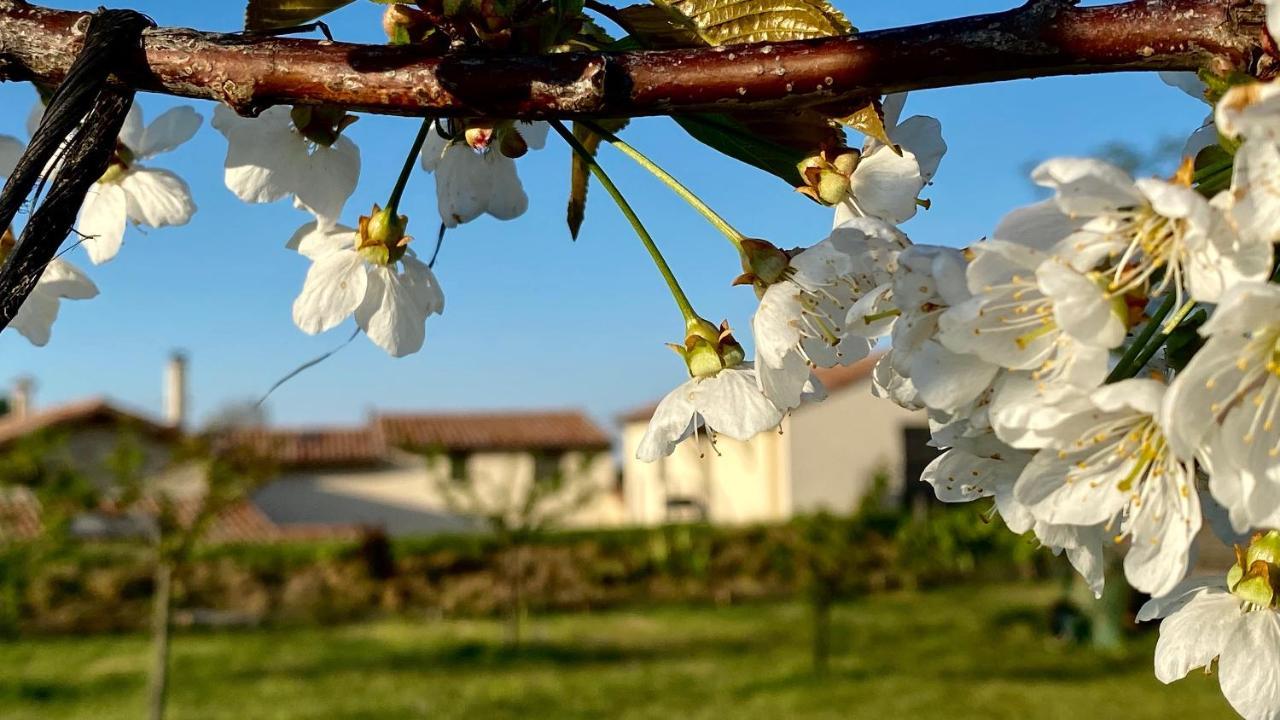 Gites Du Mas De Surlan Chantemerle-les-Bles Luaran gambar